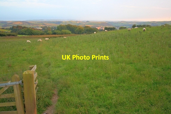 Photo 6"x4" Sheep Pasture near Bryncarnedd Aberystwyth c2012