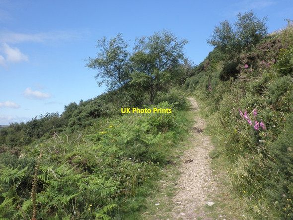 Photo 6"x4" Footpath, near Ashton Cleave Leeford\/SS7748 c2012