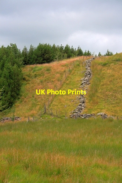 Photo 6"x4" Ruined Wall on Pen-y-Bwlch Strata Florida c2012