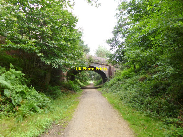 Photo 6"x4" Hincheslea, skew bridge Mead End\/SZ2698 c2012