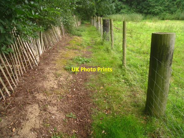 Photo 6"x4" Serious fence posts Heathfield\/TL4546 c2012