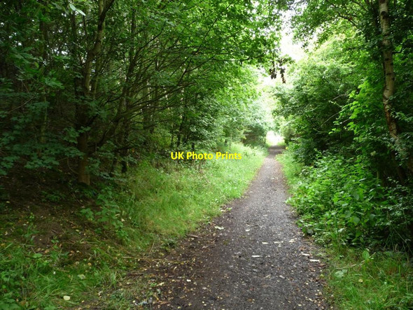 Photo 6"x4" Looking south, below the A628 Hemsworth\/SE4213 c2012