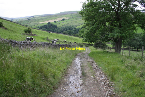 Photo 6"x4" Thupton Gill Road West Burton\/SE0186 c2012