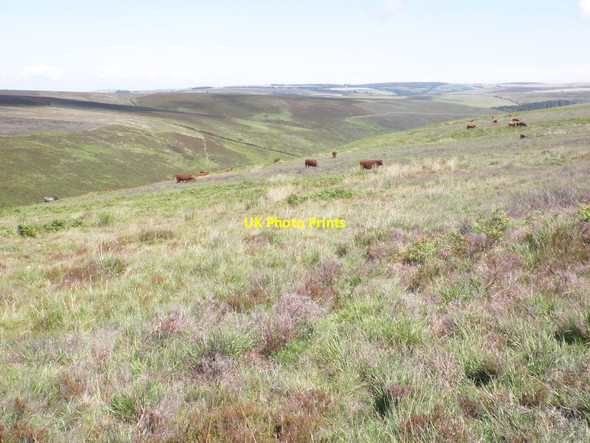 Photo 6"x4" Lank Combe Brendon\/SS7647 c2012