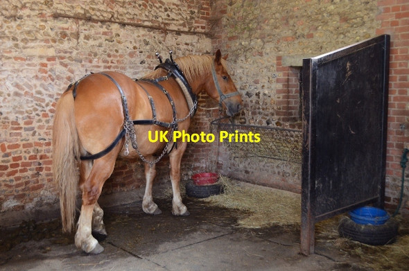 Photo 6"x4" Gressenhall - Chapel Farm Beetley c2012