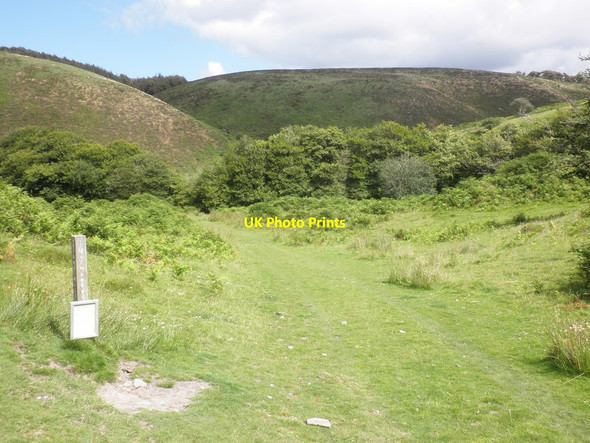 Photo 6"x4" Hoccombe Combe Malmsmead c2012
