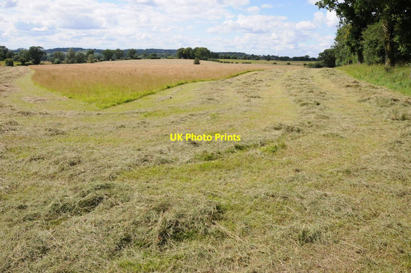 Photo 6"x4" Haymaking near Carpenter's Hill Farm Carpenter's Hill\/SP0770 c2012