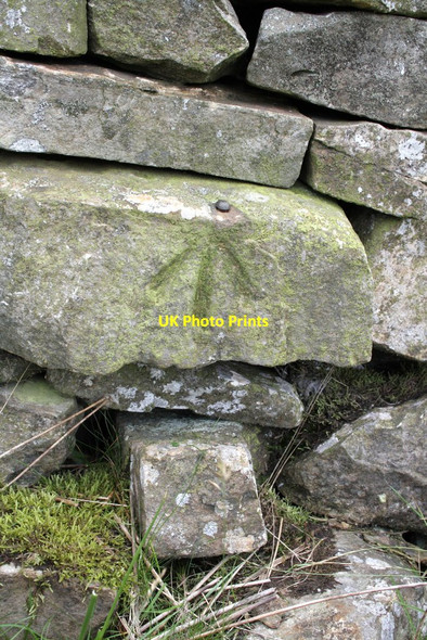 Photo 6"x4" Benchmark on wall stone beside Artengill track Stone House\/SD7785 c2012