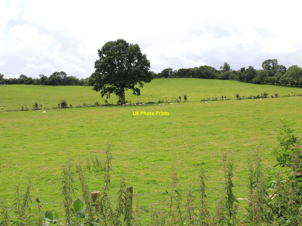 Photo 6"x4" Fields below Hobb Hill Bloxham c2012