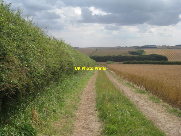 Photo 6"x4" Bridleway to Wetwang Grange Wetwang c2012