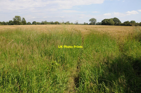 Photo 6"x4" Field at Cakebole Cakebole c2012
