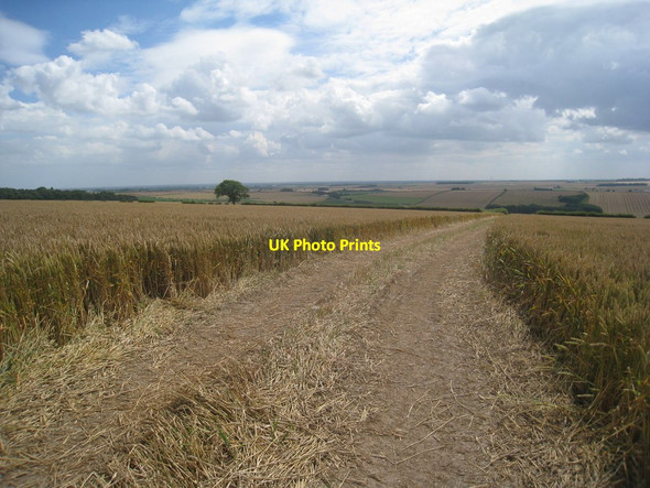Photo 6"x4" Bridleway to Wetwang Grange Wetwang c2012