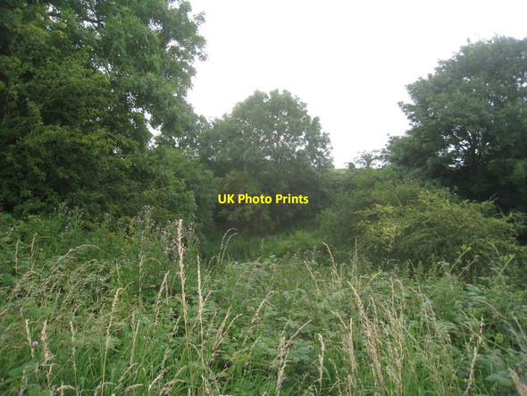 Photo 6"x4" Old chalk pit Towthorpe\/SE9062 c2012