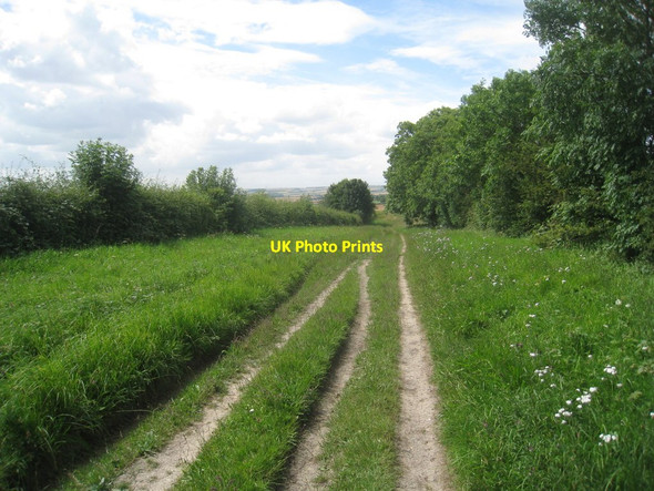 Photo 6"x4" Green Lane Wetwang c2012 P1