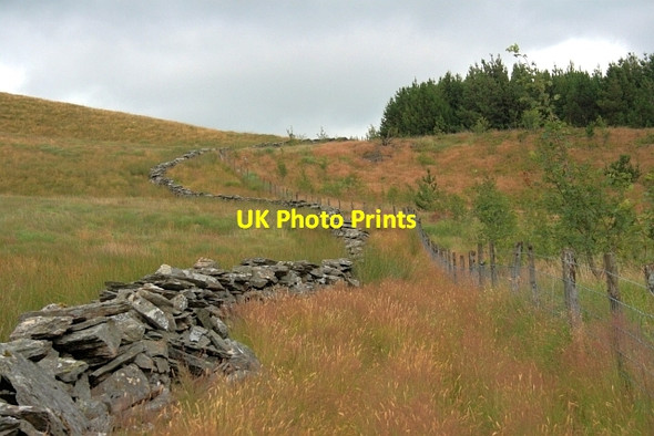 Photo 6"x4" Ruined Wall, Pen-y-bwlch Strata Florida c2012
