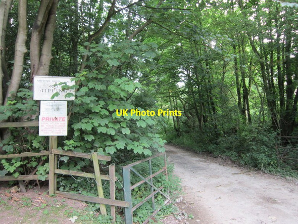 Photo 6"x4" The entrance to Nafferton Chalk Quarry Ruston Parva c2012