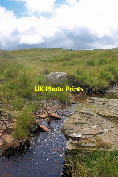 Photo 6"x4" An Infant Afon Myrwo Llyn Gorast c2012