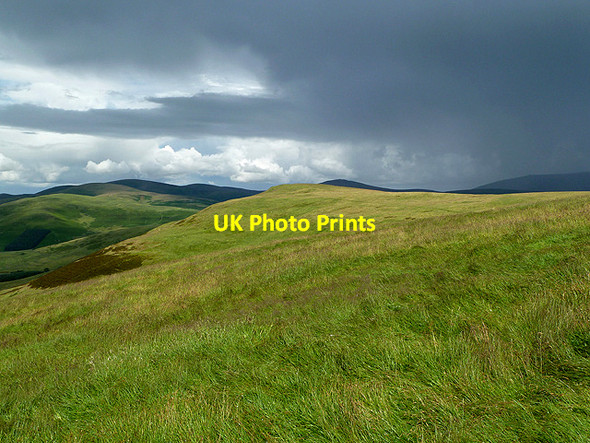 Photo 6"x4" Calroust Common Mowhaugh c2012