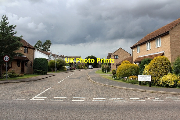 Photo 6"x4" Sycamore Lane, Ely Ely\/TL5480 c2012