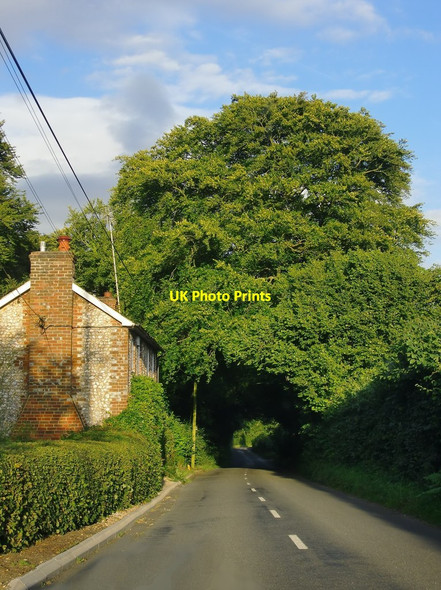 Photo 6"x4" Along the B480 (Patemore Lane) at Pishill Bottom Pishill Bank c2012