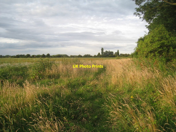 Photo 6"x4" View towards Bank End Crossing Blaxton\/SE6700 c2012