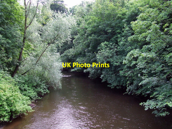 Photo 6"x4" The River Kelvin Dowanhill c2012