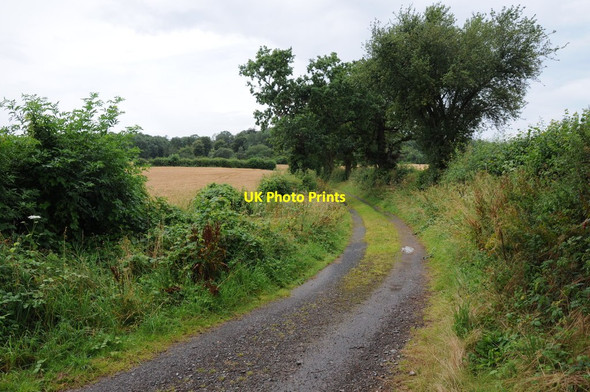 Photo 6"x4" Track and footpath Callow Marsh c2012