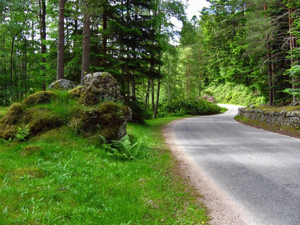 Photo 6"x4" Glen Muick road Ballater c2008