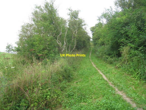 Photo 6"x4" The bridleway to Cottam and Kilham Garton-on-the-Wolds c2012