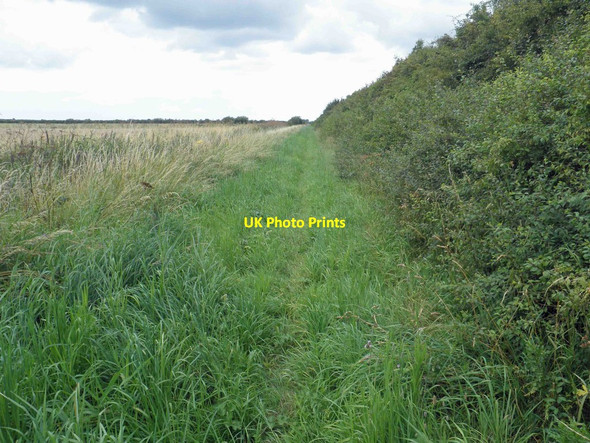 Photo 6"x4" Bridleway along Polly Well Bank Everton\/SK6991 c2012