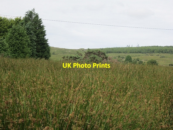 Photo 6"x4" Wetland beneath the Ox Mountains Cloonacool c2012