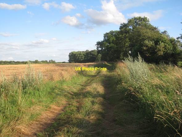 Photo 6"x4" Gate Wood Lane (2) West End\/SE6607 c2012