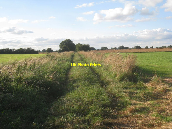 Photo 6"x4" Gate Wood Lane (2) West End\/SE6607 c2012