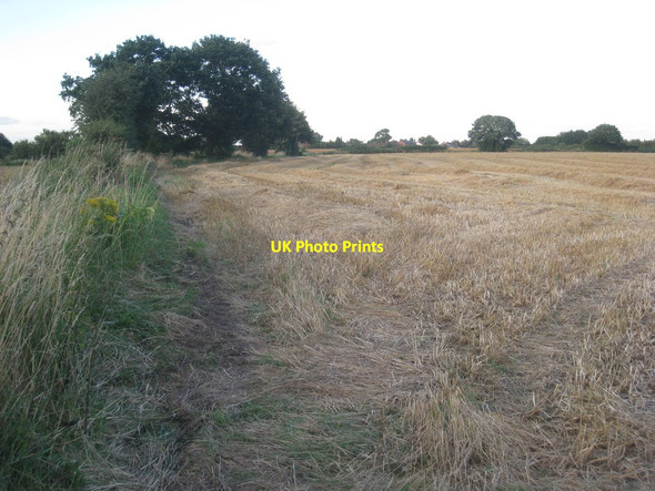 Photo 6"x4" Harvested barley field Stone Hill\/SE6708 c2012