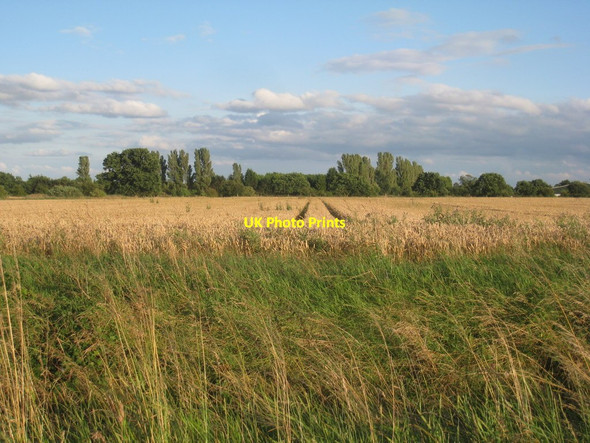 Photo 6"x4" View from Hale Hill Lane West End\/SE6607 c2012