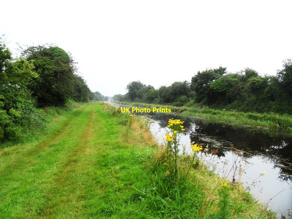 Photo 6"x4" Grand Canal in Kilgortin, Co. Offaly Rahan c2012