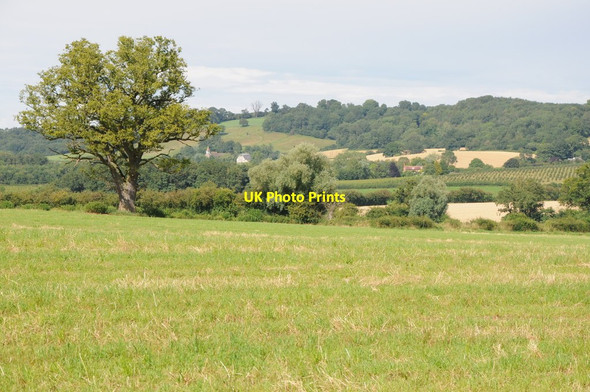 Photo 6"x4" View to Castle Frome Canon Frome c2012