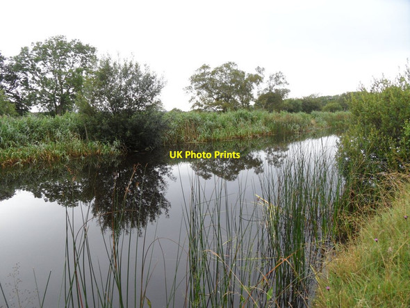 Photo 6"x4" Grand Canal in Turraun, Co. Offaly Pollagh c2012