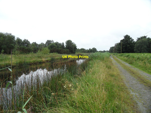 Photo 6"x4" Grand Canal in Derries, Co. Offaly Ferbane c2012