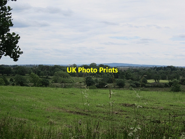 Photo 6"x4" Grassland beside the Moy Annagh c2012