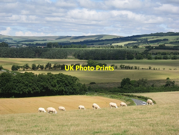 Photo 6"x4" A697, Drummonds-hall Lauder c2012