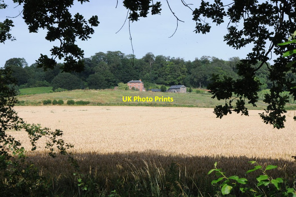 Photo 6"x4" Old Birchend Birchend c2012