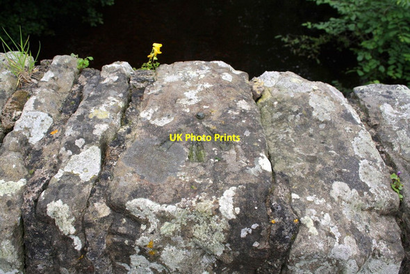Photo 6"x4" Benchmark on top of south parapet of Burton Bridge West Burton\/SE0186 c2012