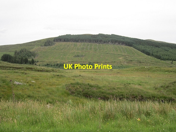 Photo 6"x4" Clear felled area Bunnyconnellan c2012