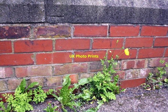 Photo 6"x4" Benchmark on wall of #89 Northallerton Road Northallerton c2012
