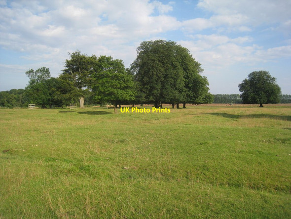 Photo 6"x4" Grainsby Park Grainsby c2012