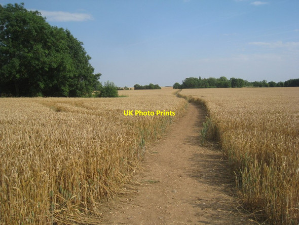 Photo 6"x4" Bridleway to Grainsby Brigsley c2012