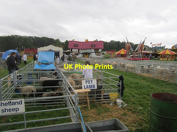 Photo 6"x4" Tenbury Show Burford\/SO5868 c2012