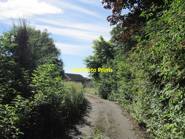 Photo 6"x4" Walking path #35-64\/31 at the track to the sports field Tadcaster c2012