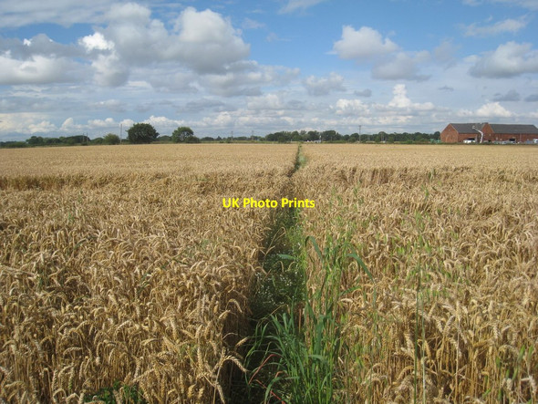 Photo 6"x4" Footpath from Bramwith Lane to Bramwith Lane Barnby Dun c2012